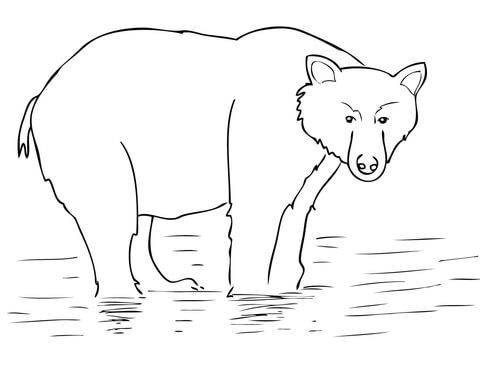 Alaska Brown Bear Coloring Page